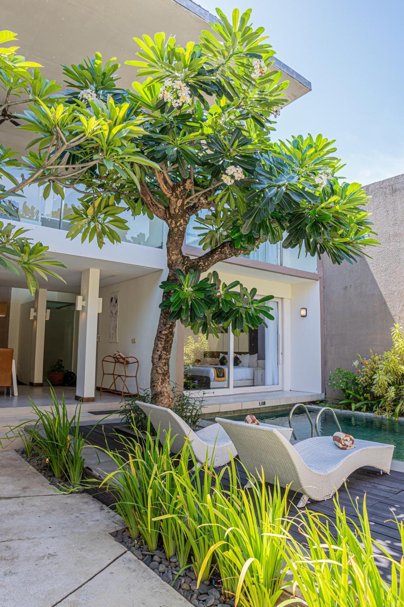 Asa Bali Luxury Villas & Spa Seminyak Eksteriør bilde